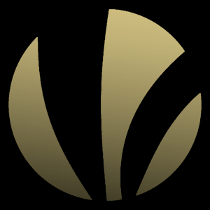 Фото игрока