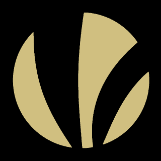 Фото игрока